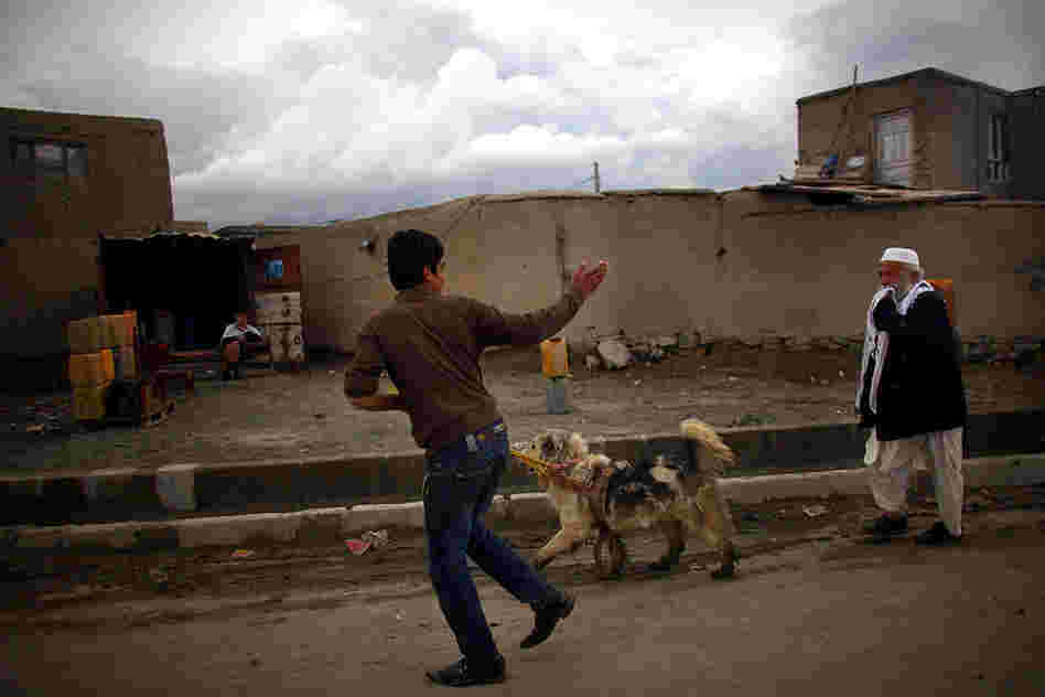 Dog-walking