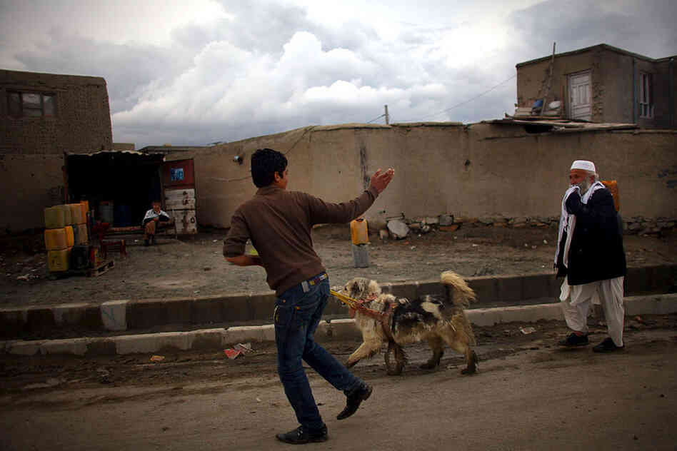 Dog-walking