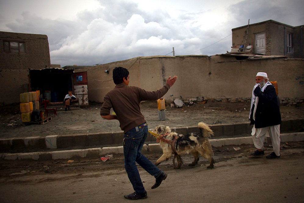 Dog-walking