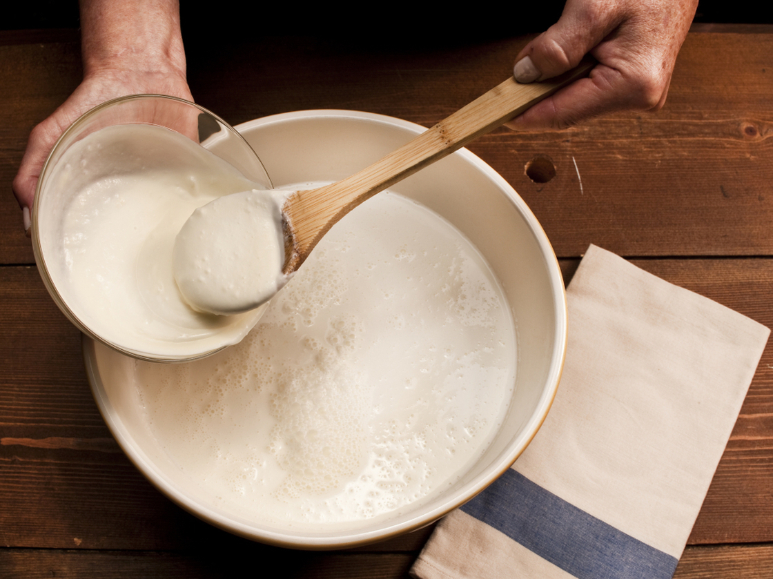 To make yogurt with an heirloom starter, add freeze-dried starter or a spoonful of yogurt to fresh milk.