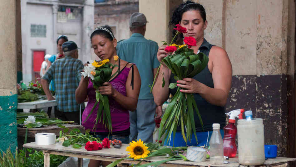 Two self-employed florists prepare bunches of flowers in Havana last year. The Cuban government is stepping up economic reforms and estimates that in four or five years, nearly half the workforce will be employed in the private sector. Two self-employed florists prepare bunches of flowers in Havana last year. The Cuban government is stepping up economic reforms and estimates that in four or five years, nearly half the workforce will be employed in the private sector.