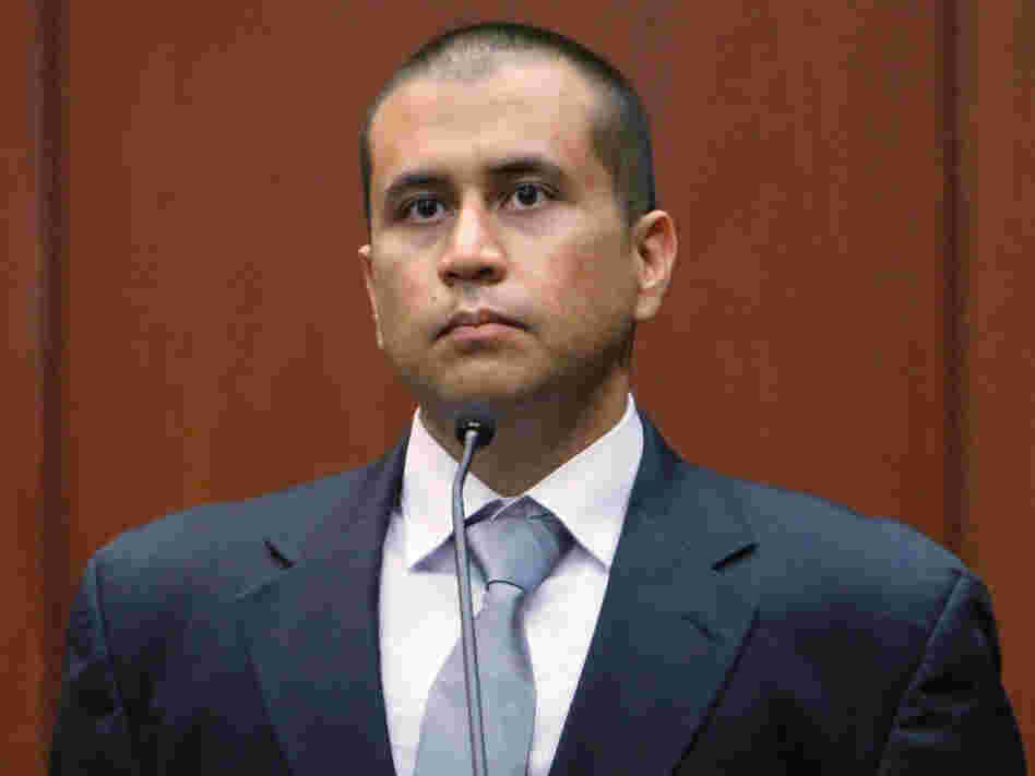 George Zimmerman during his bond hearing in a Seminole County, Fla., courtroom on April 20.