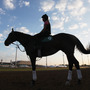 Horses train on the track in preparation for the 138th Kentucky Derby at Churchill Downs.