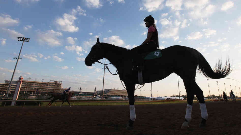 Horses train on the track in preparation for the 138th Kentucky Derby at Churchill Downs.