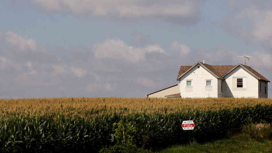 This year, U.S. corn farmers have planted more acres of the crop than at any time since the Great Depression. This year, U.S. corn farmers have planted more acres of the crop than at any time since the Great Depression.