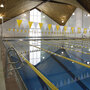 The pool at Bryn Mawr College's Bern Schwartz Fitness and Athletic Center. Bryn Mawr is one of a handful of colleges that requires students to pass a swimming test to graduate.