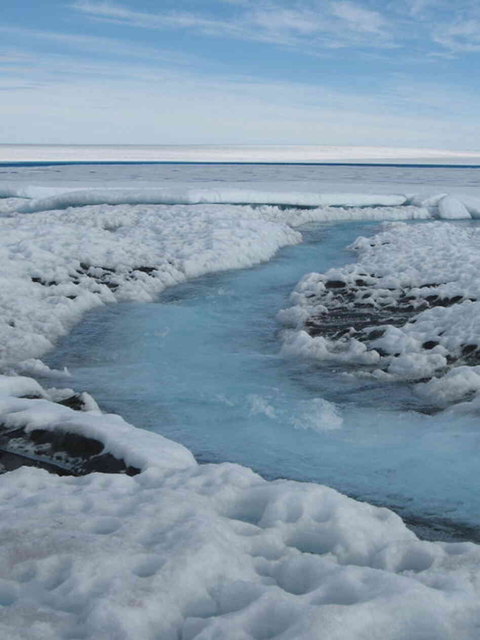 At the peak of the summer, meltwater runoff forms streams and lakes on the ice surface in this 2007 photo. 