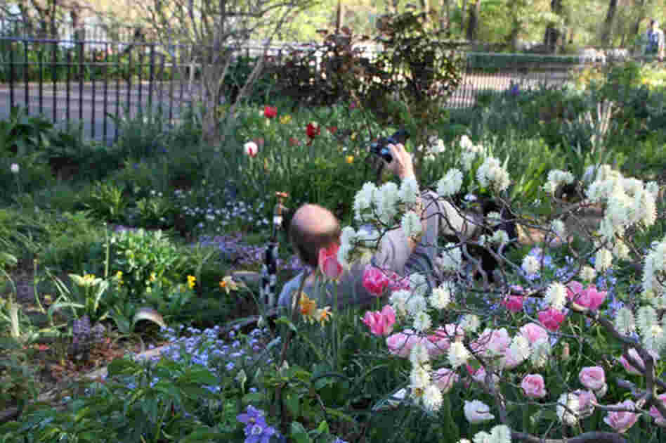 Darryl Pitt says the community of people who tend this garden are called "The Garden People." One of them snapped this humorous photo of Pitt trying to get up from his shooting position. Darryl Pitt says the community of people who tend this garden are called "The Garden People." One of them snapped this humorous photo of Pitt trying to get up from his shooting position.