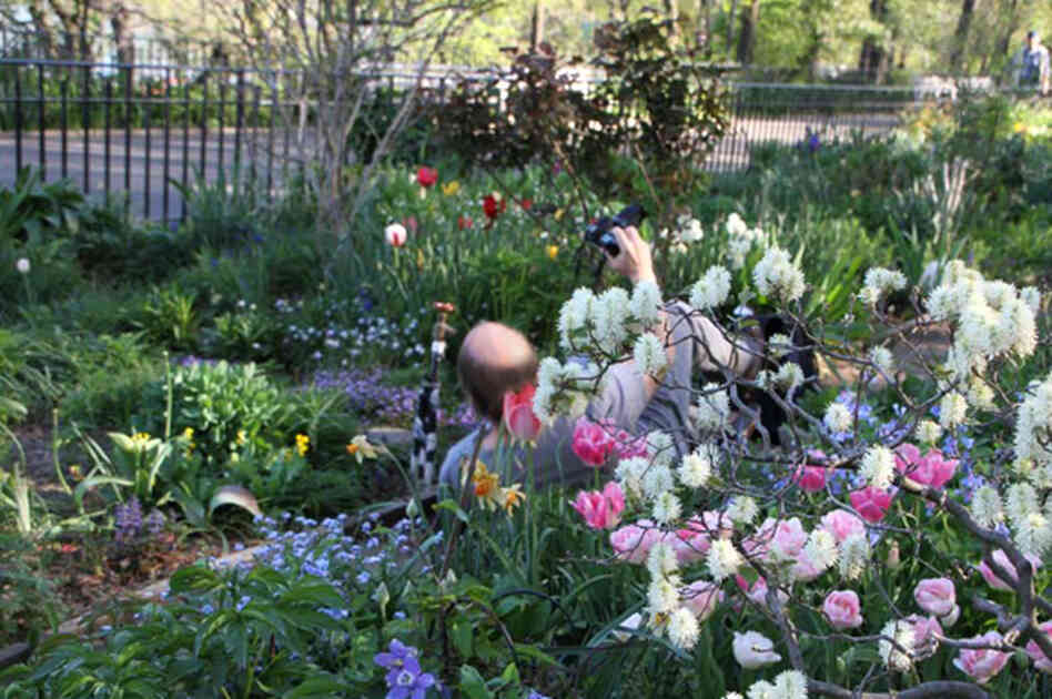 Darryl Pitt says the community of people who tend this garden are called "The Garden People." One of them snapped this humorous photo of Pitt trying to get up from his shooting position. Darryl Pitt says the community of people who tend this garden are called "The Garden People." One of them snapped this humorous photo of Pitt trying to get up from his shooting position.