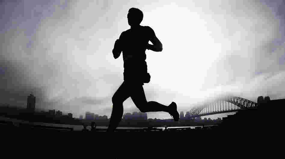 Researchers say our brains are probably wired from an evolutionary sense to encourage running and high aerobic activities. Above, a man runs past the Sydney Harbour Bridge on April 22. Researchers say our brains are probably wired from an evolutionary sense to encourage running and high aerobic activities. Above, a man runs past the Sydney Harbour Bridge on April 22.