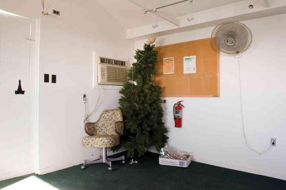 Christmas Tree, Camp America, 2006