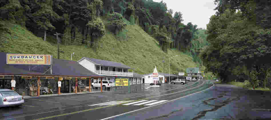 Kudzu lines a sleepy roadside in Cherokee, N.C., 2009. Kudzu lines a sleepy roadside in Cherokee, N.C., 2009.