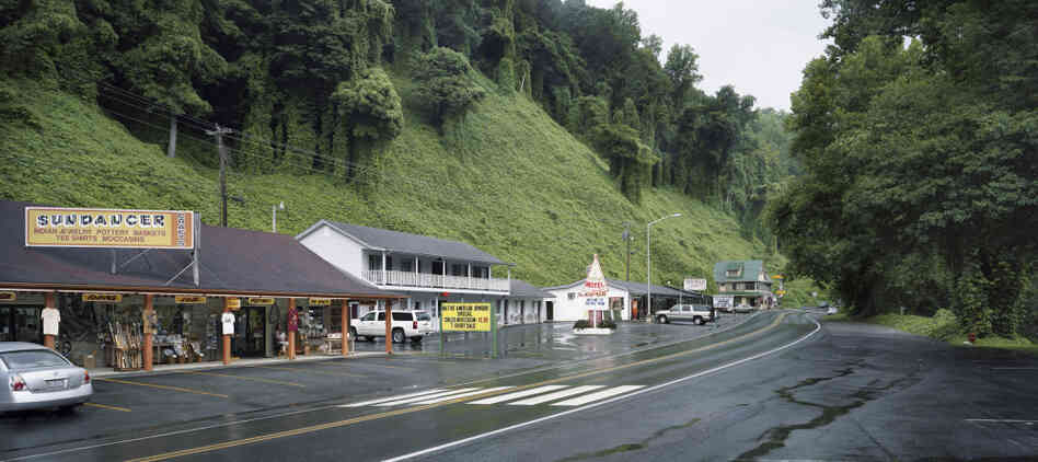 Kudzu lines a sleepy roadside in Cherokee, N.C., 2009. Kudzu lines a sleepy roadside in Cherokee, N.C., 2009.
