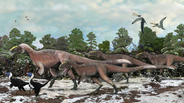 An artist's impression of a group of Yutyrannus. The 30-foot-long dinosaurs were covered with downy feathers — likely to keep the animals warm.