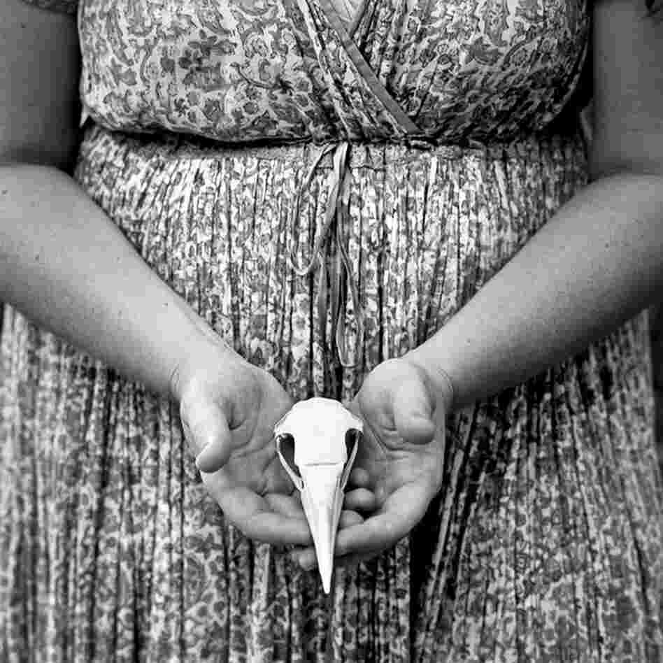 Bird Skull: "Some of the photographs in this book were made in Georgia and Louisiana," Hamrick says. But most were made in Florida, where he helped a friend develop film that her father had used but never processed.