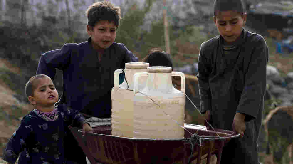 Pakistani boys collect water from a hand pump on the outskirts of Islamabad.