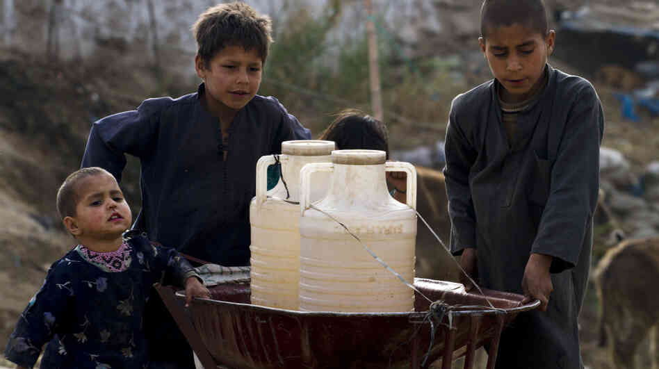 Pakistani boys collect water from a hand pump on the outskirts of Islamabad.