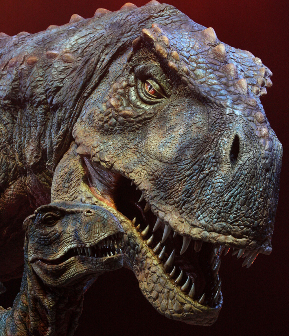 Not the Nebraska Tyrannosaurus Rex.