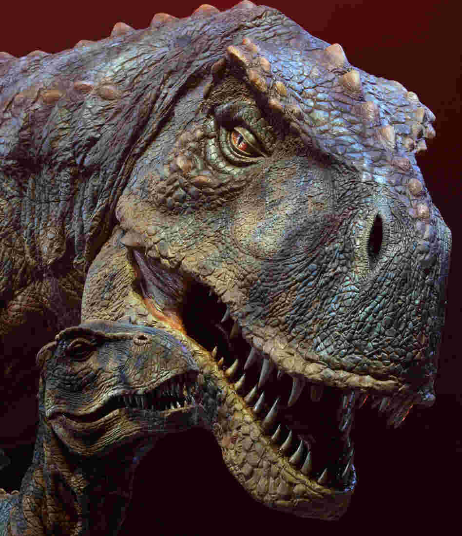 Not the Nebraska Tyrannosaurus Rex.