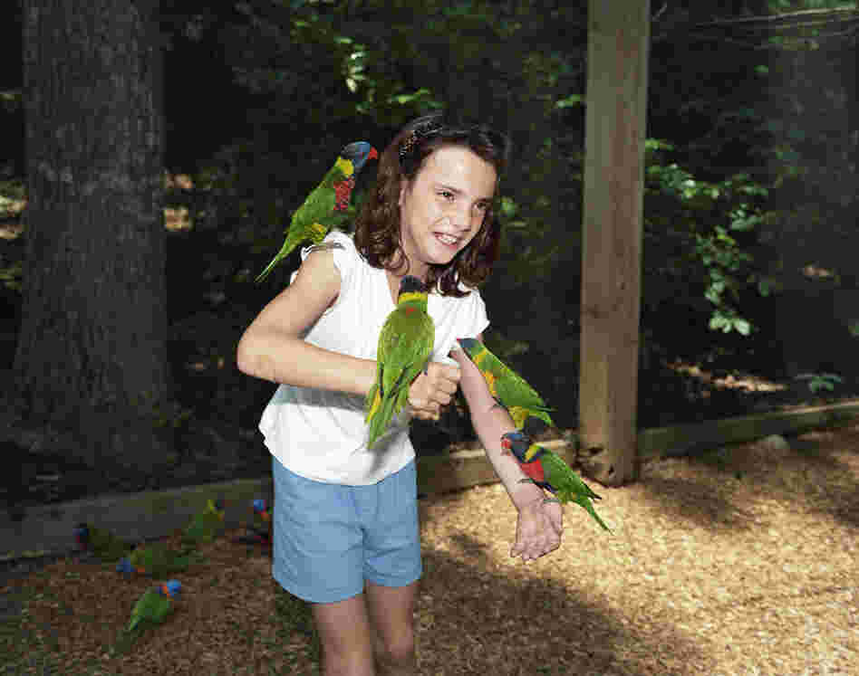 Pigeon Forge, Tenn., 2008. Parrot Mountain overlooks the much more attended Dollywood. It is lush with birds and plants. For an additional two dollars, you can buy nectar for the lorries who will climb all over you for a taste. It seems to both excite and horrify the children.
