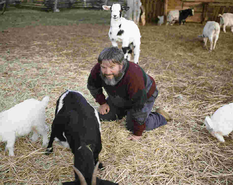 Clinton, Tenn. 2008. This man works at the Museum of Appalachia.  He is affectionally known as the deer man. ... His friend had passed away the day before and he went to be with the goats to feel better. They loved him and jumped all over him.