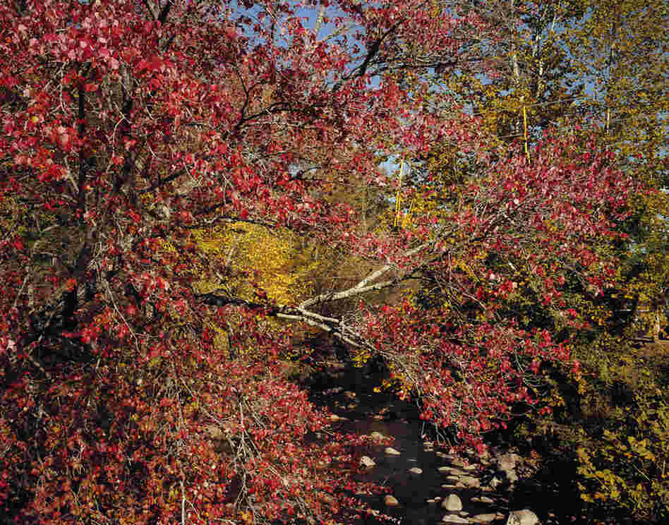 Gatlinburg, Tenn., 2007. The area is known for its fall colors and they are stunning.