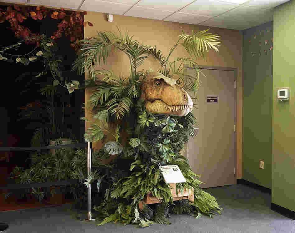 Pigeon Forge, Tenn., 2008. This was a part of the Dinosaur Walk Museum. It is a theme amongst attractions to transport the visitors to different times and places.