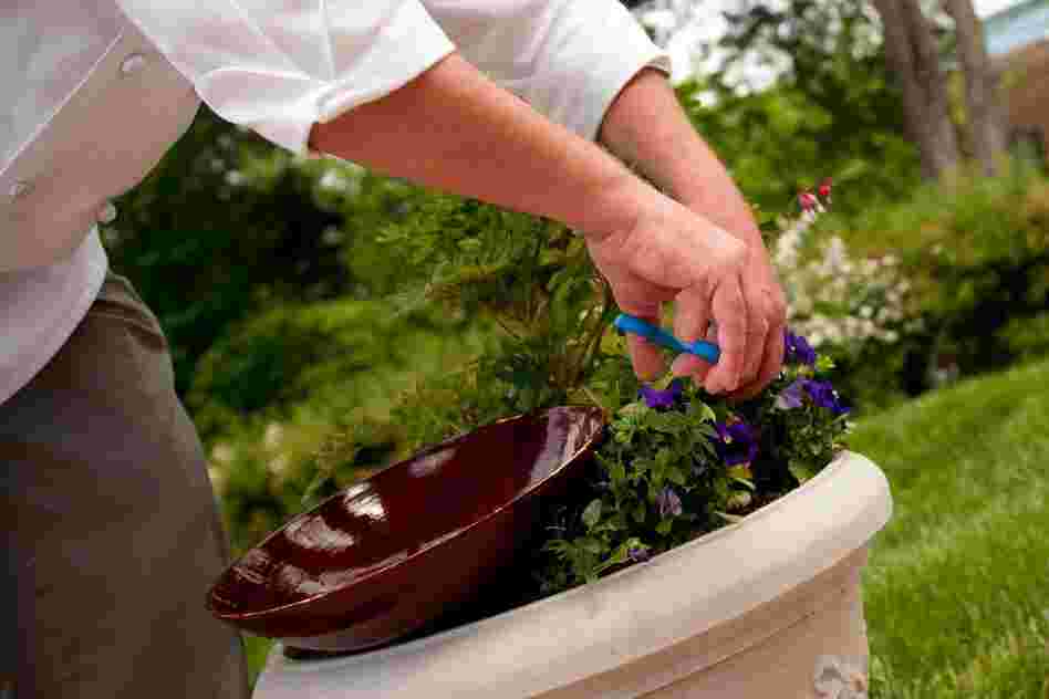The all-organic garden is also home to ripening strawberries, tomatillos, spinach, and even lavender to use for aromatherapy.