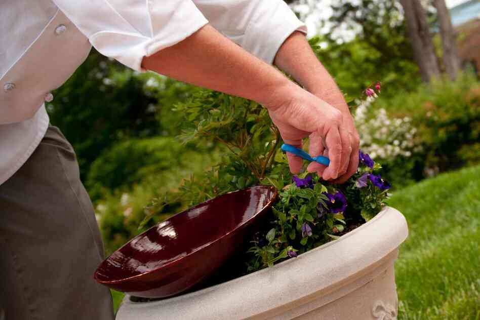 The all-organic garden is also home to ripening strawberries, tomatillos, spinach, and even lavender to use for aromatherapy.