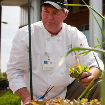 Executive chef Tony DeWalt picks some lettuce from the Fauquier Hospital's culinary healing garden.