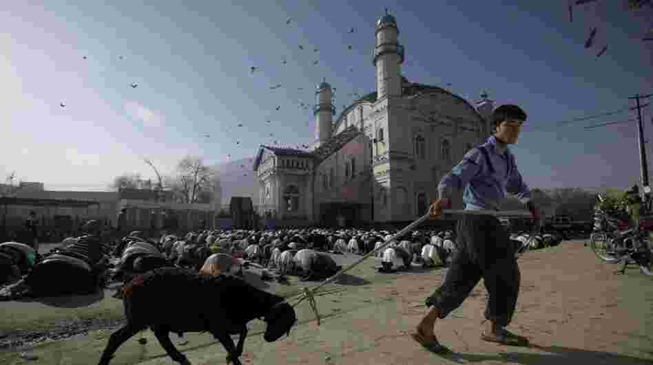 The Afghan government wants Muslim preachers to tone down sermons that often criticize the presence of American troops and praise the Taliban. Here, an Afghan youth drags his sheep past a group of men praying at a mosque in Kabul in November 2011.