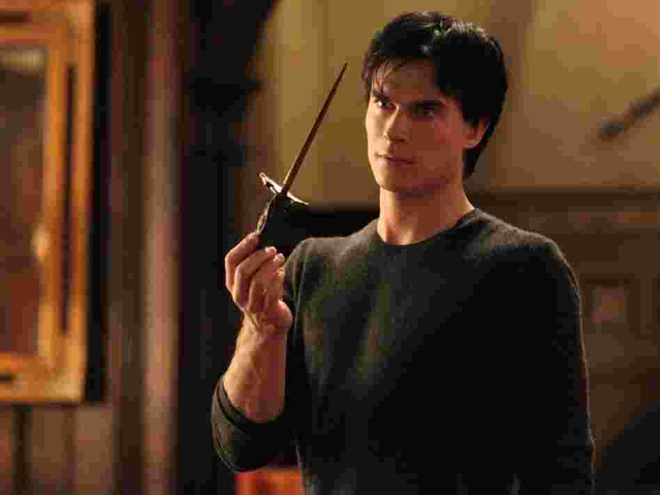 Ian Somerhalder plays the charming and dangerous Damon Salvatore on The Vampire Diaries, a gothic soap opera that shares some similarities with Dark Shadows.