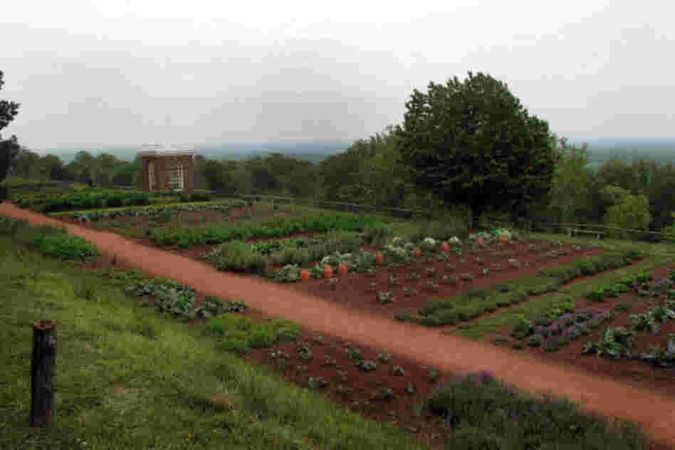After Jefferson left the presidency, he planted a retirement garden at Monticello that is 300 yards long and supported by a stone wall 12 feet high in places. It looks out over the rolling Virginia Piedmont. 