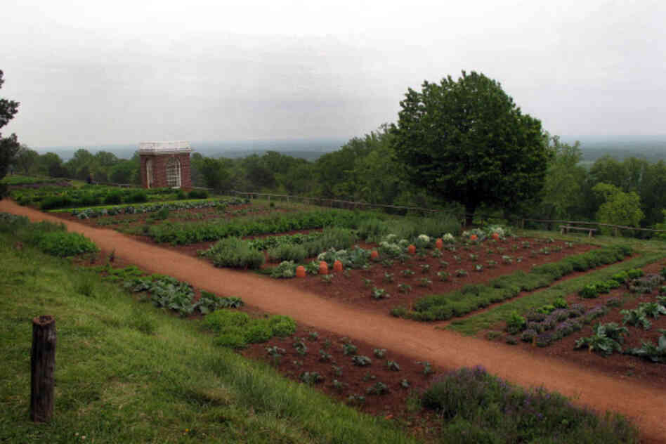 After Jefferson left the presidency, he planted a retirement garden at Monticello that is 300 yards long and supported by a stone wall 12 feet high in places. It looks out over the rolling Virginia Piedmont. 