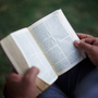 While liberal Christians argue the Bible should be interpreted as society changes, conservatives argue for a more literal reading, leading to differences in belief about God and homosexuality. While liberal Christians argue the Bible should be interpreted as society changes, conservatives argue for a more literal reading, leading to differences in belief about God and homosexuality.
