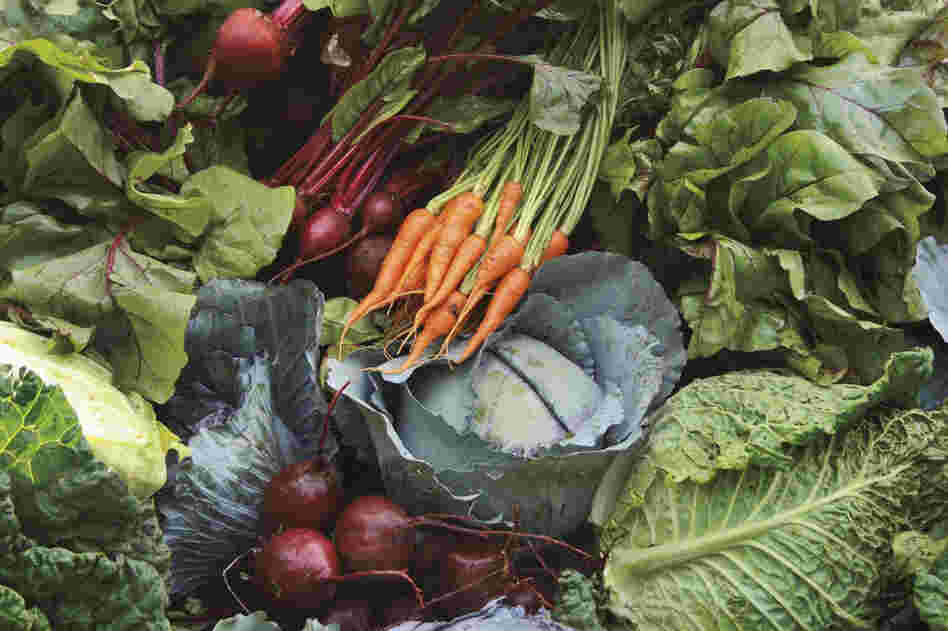 Jefferson planted an abundance of fresh salad greens. This is a typical summer vegetable garden harvest. 