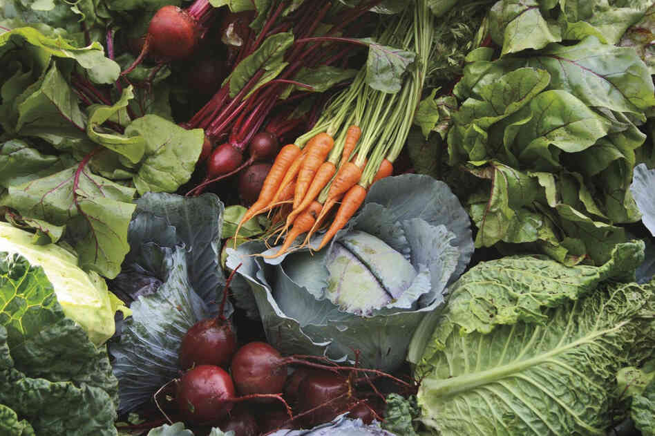 Jefferson planted an abundance of fresh salad greens. This is a typical summer vegetable garden harvest. 