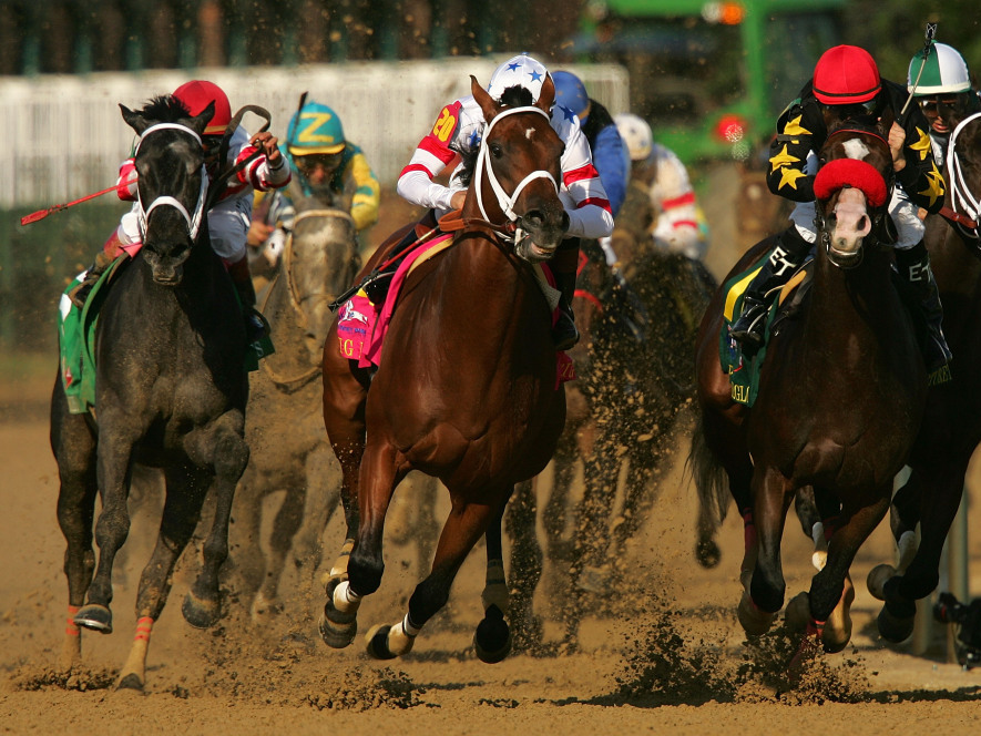 Eight Belles (far left) broke both of her front ankles after finishing second in the 134th Kentucky Derby in May 2008. She was later euthanized.