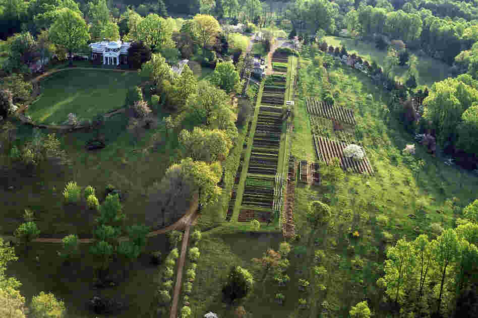 Thomas Jefferson's garden at Monticello was uniquely American because it served as a kind of Ellis Island for garden vegetables around the world. 