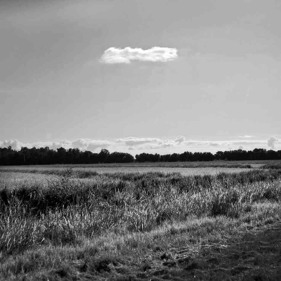 A single cloud floats above a field of crops at the edge of the Duncan city limits, September 2009.