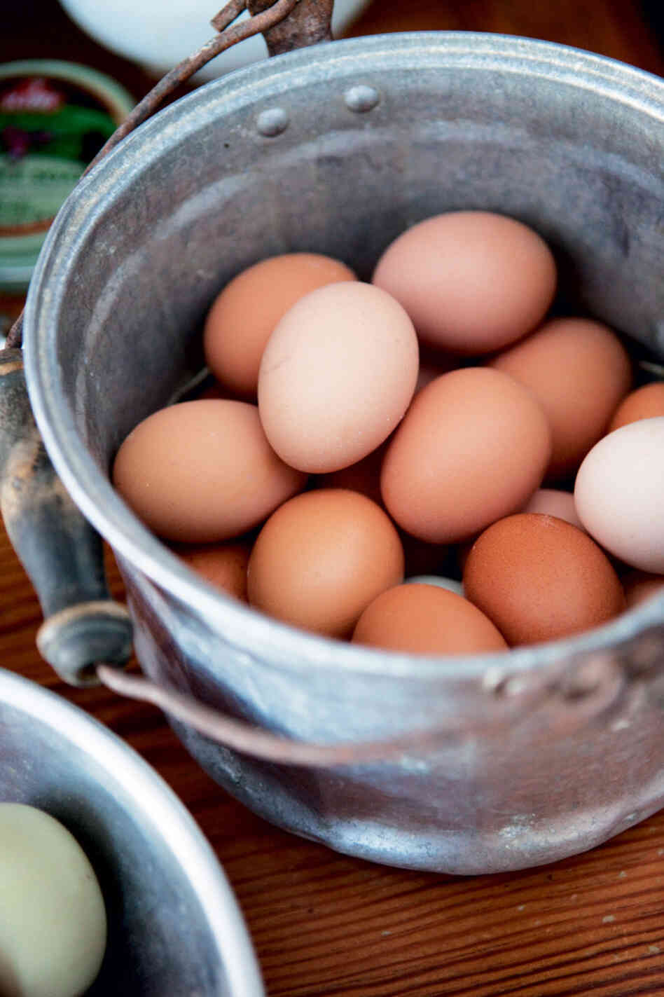 eggs eggs