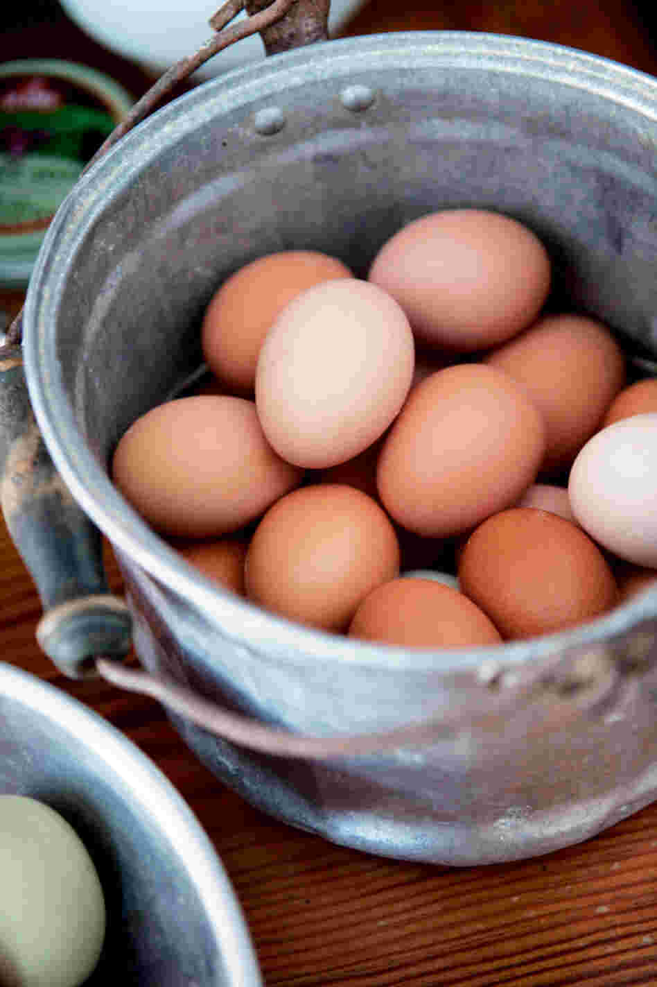 eggs eggs