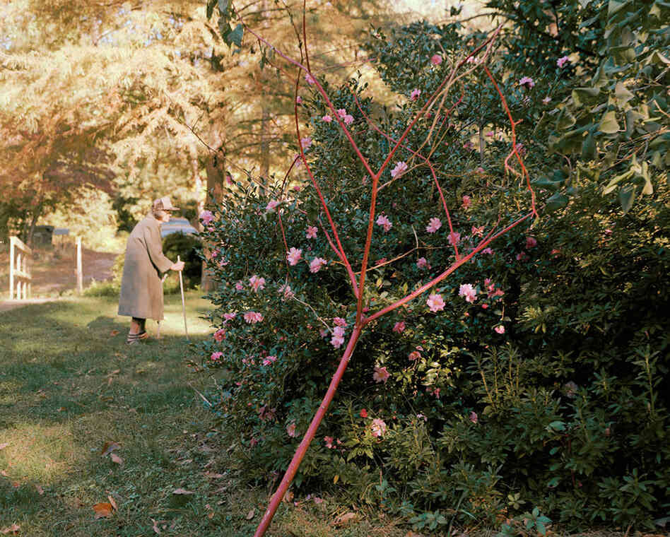 Margaret With Camellia Japonica