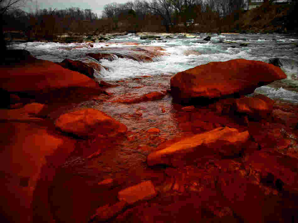 Rocks on the shore of the Lackawanna River in Duryea, Pa., are discolored by iron oxide and sulfur compounds — pollutants left behind by past coal mining in the state.