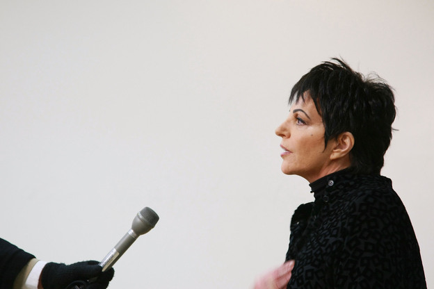 Liza Minnelli says that songs "punctuate your emotions throughout your life."