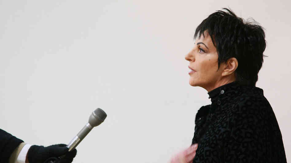 Liza Minnelli says that songs "punctuate your emotions throughout your life."