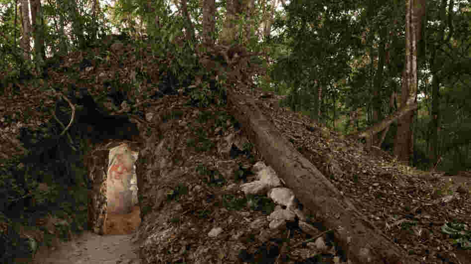 The painted figure of a man — possibly a scribe who once lived in the house built by the ancient Maya — is illuminated through a doorway to the dwelling, in northeastern Guatemala. The structure represents the first Mayan house found to contain artwork on its walls.