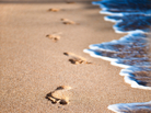 Beach. Beach.