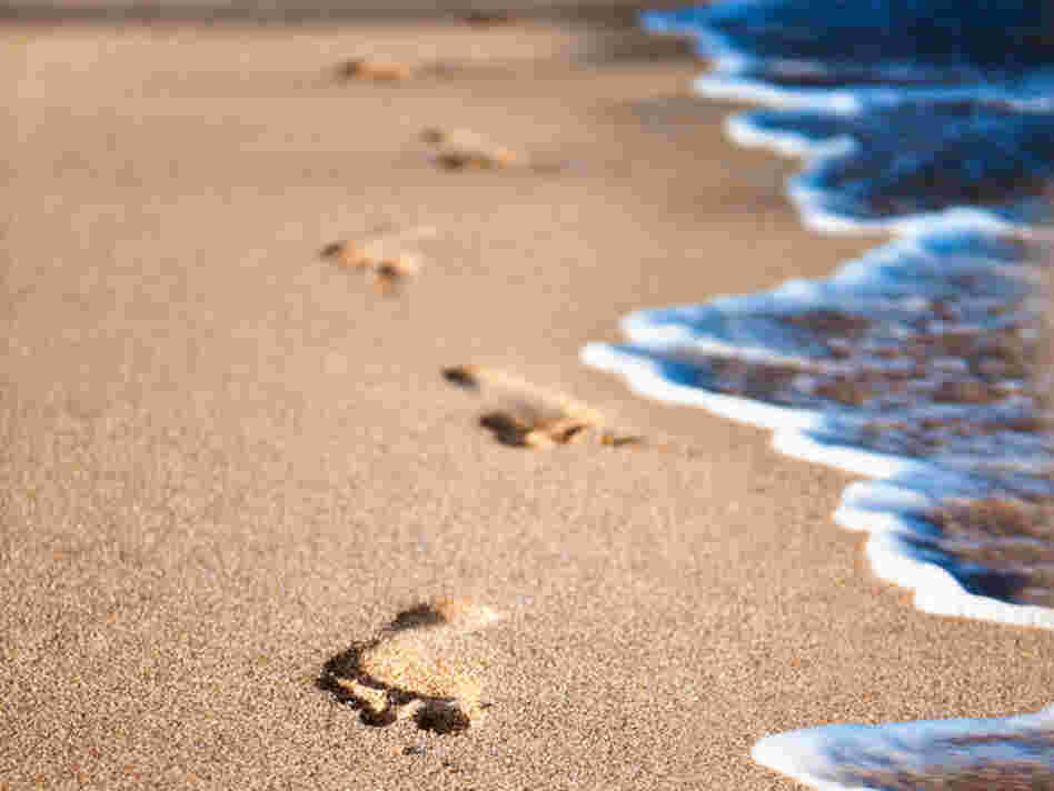 Beach.