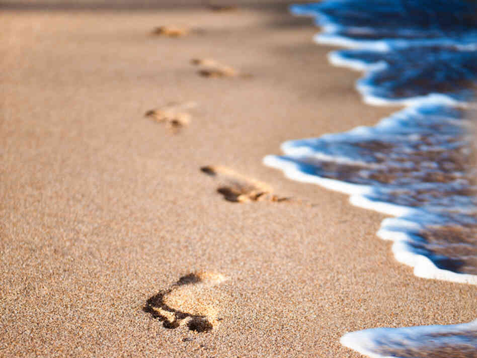 Beach.